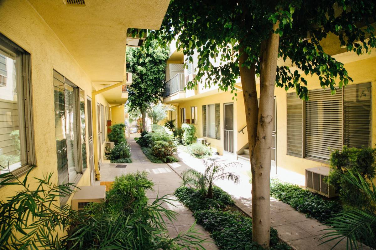Apartment for rent at 1031-1037 N Ogden Dr, Los Angeles, CA 90046