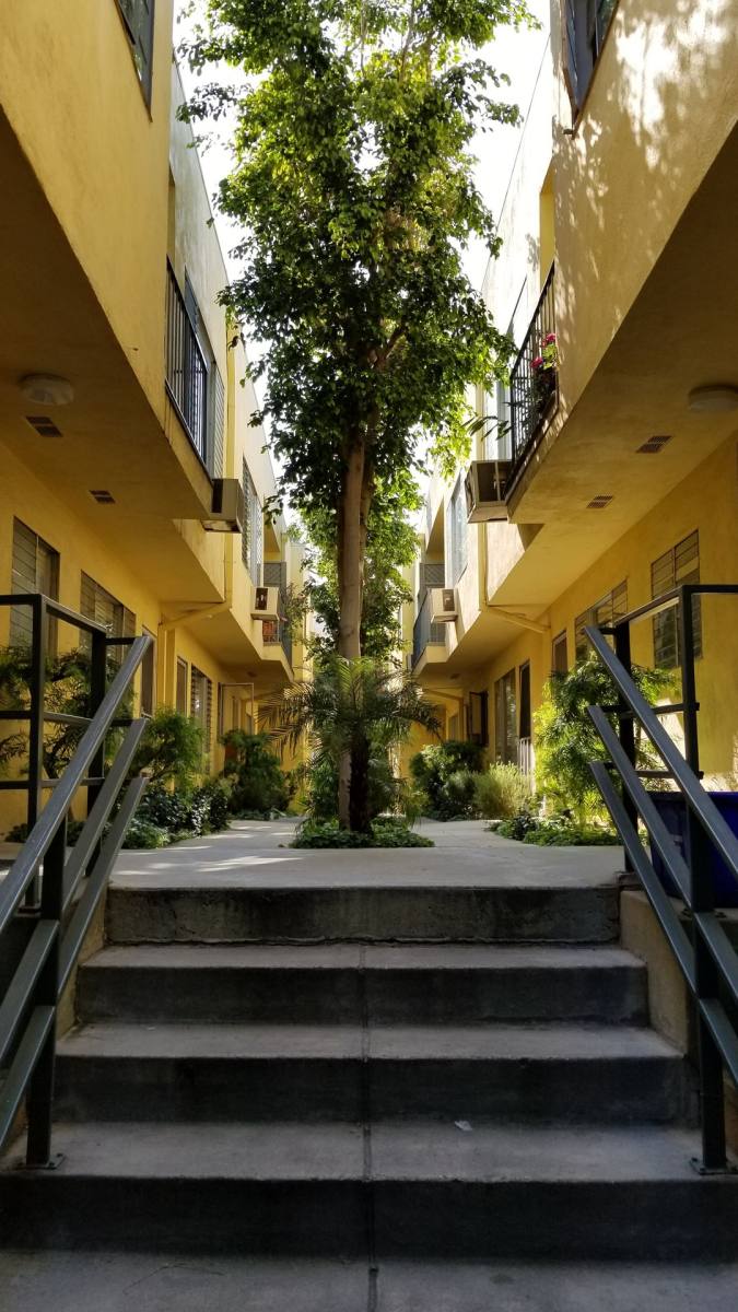 Apartment for rent at 1031-1037 N Ogden Dr, Los Angeles, CA 90046