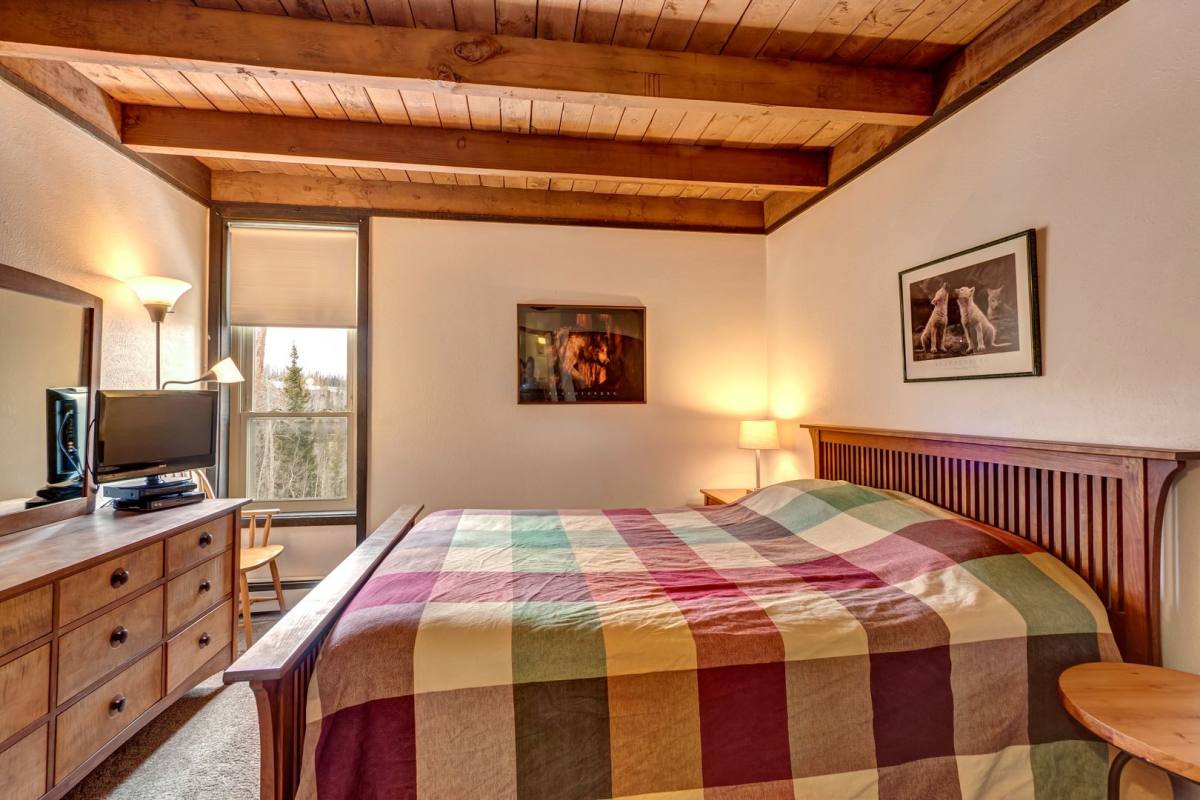 Condo for rent at 201-C Treehouse 2300 Lodge Pole Circle, Silverthorne, CO 80498