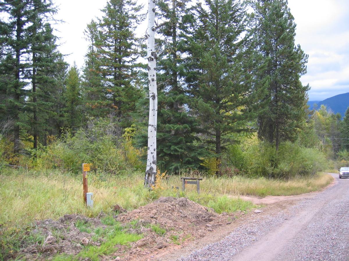House for rent at 1031 Grizzly Mountain Rd, Missoula, MT 59808
