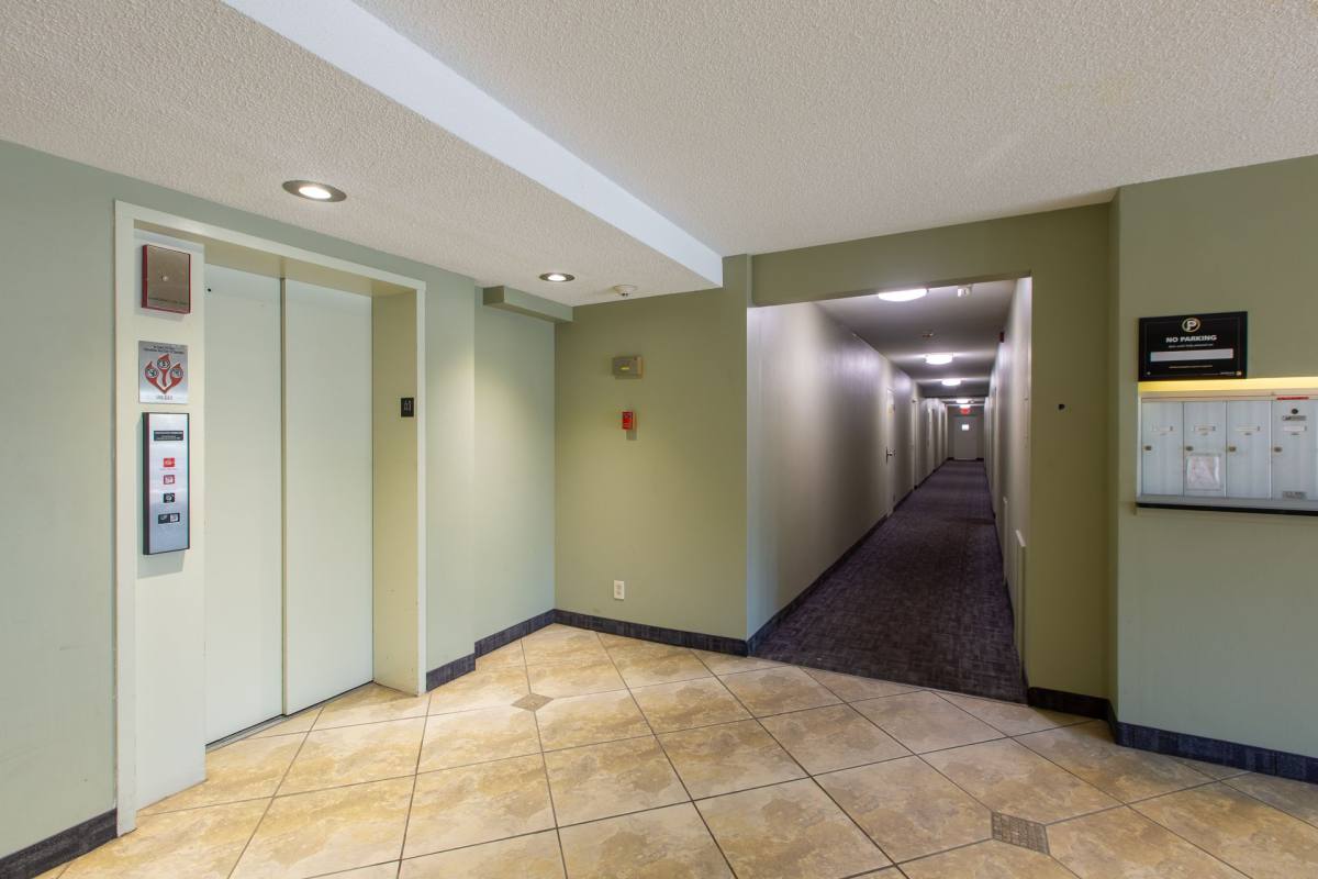 Apartment for rent at 242 W Franklin Ave, Minneapolis, MN 55404