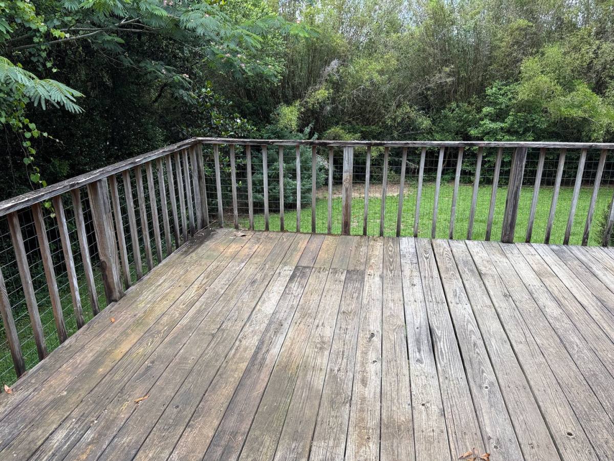 House for rent at 816 Watt Dr, Tallahassee, FL 32303