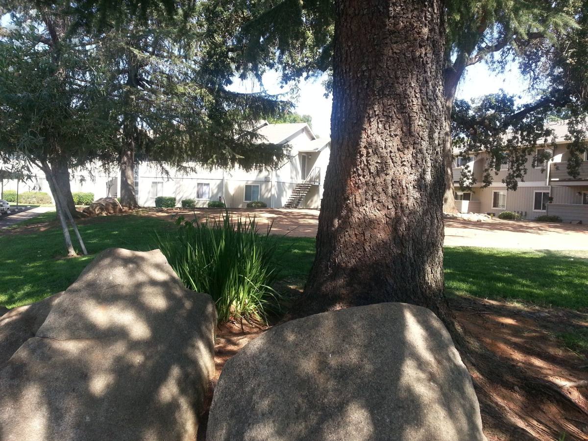 Apartment for rent at 174 S O St, Lincoln, CA 95648