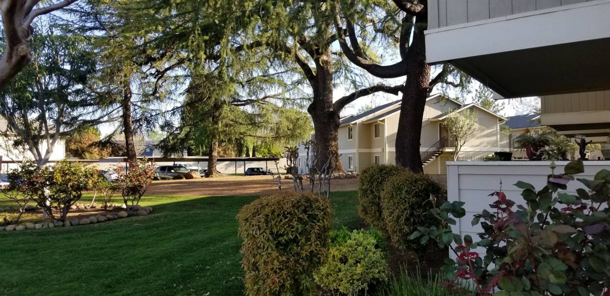 Apartment for rent at 174 S O St, Lincoln, CA 95648