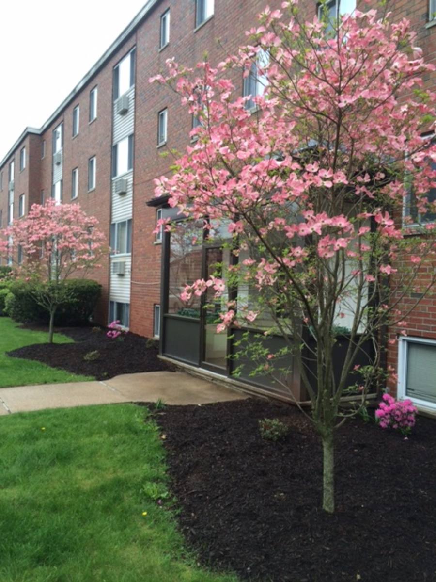 Apartment for rent at 45 Hawthorne St, Bristol, CT 06010
