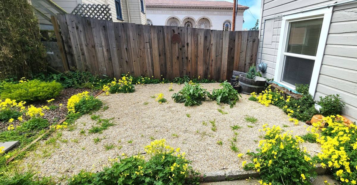 Apartment for rent at 1645 Irving St, San Francisco, CA 94122