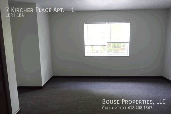 Apartment for rent at 7 Kircher Place #1, Belleville, IL 62220