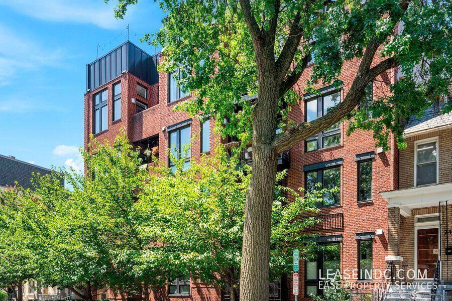 Apartment for rent at 245 15th St SE #201, Washington, DC 20003