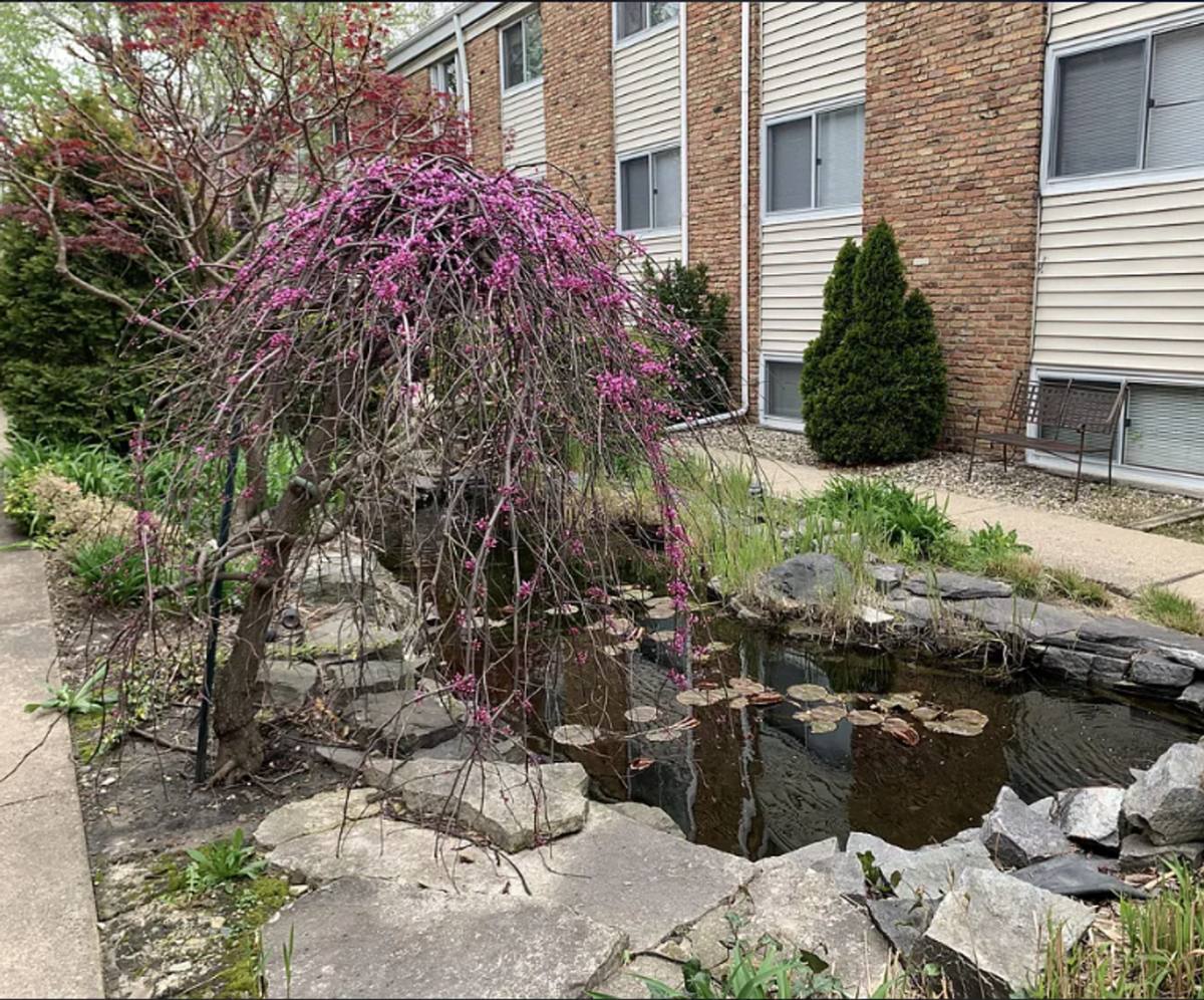Apartment for rent at 1021 Francis Dr, Champaign, IL 61821