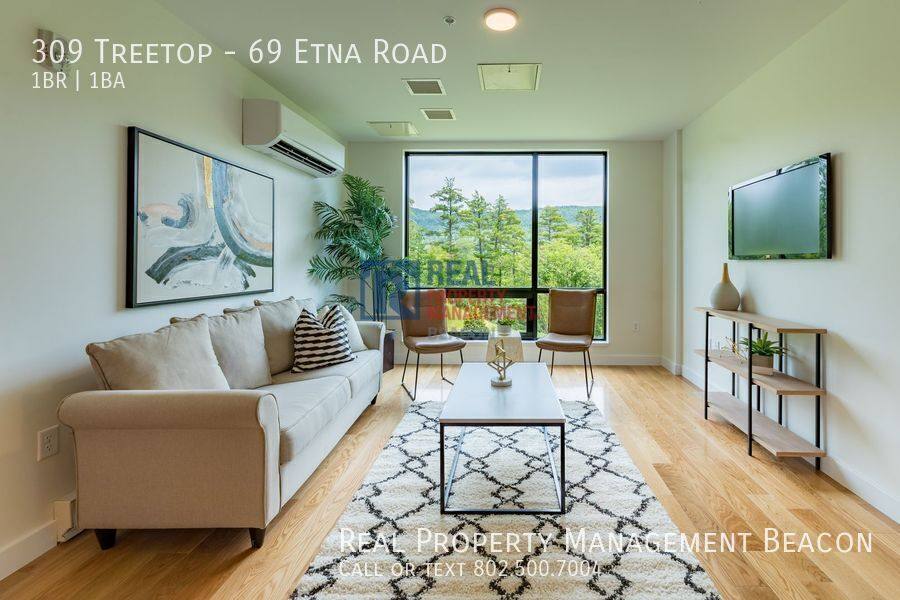 Condo for rent at 309 Treetop 69 Etna Rd, Lebanon, NH 03766