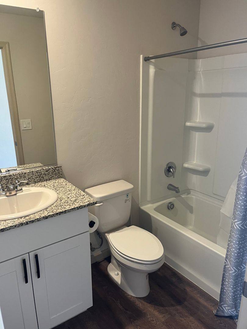 House for rent at 1617 W Cottonwood Bluffs Dr, Benson, AZ 85602