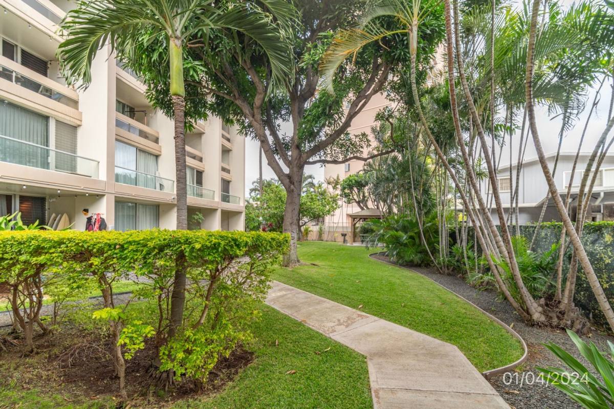 Apartment for rent at 555 University Ave, Honolulu, HI 96826