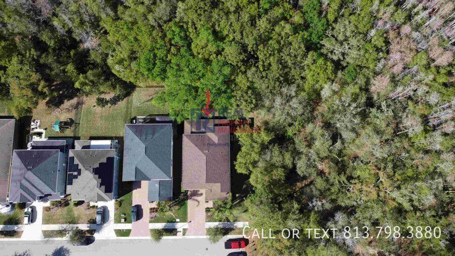 House for rent at 6220 Windship Court, Tampa, FL 33647