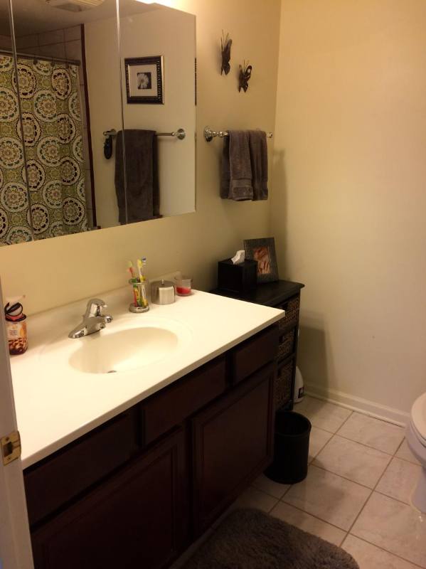 Apartment for rent at 8000 Kilpatrick Ave #2A, Skokie, IL 60076