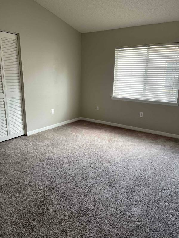 House for rent at 11218 Scotchwood Dr, Riverview, FL 33579