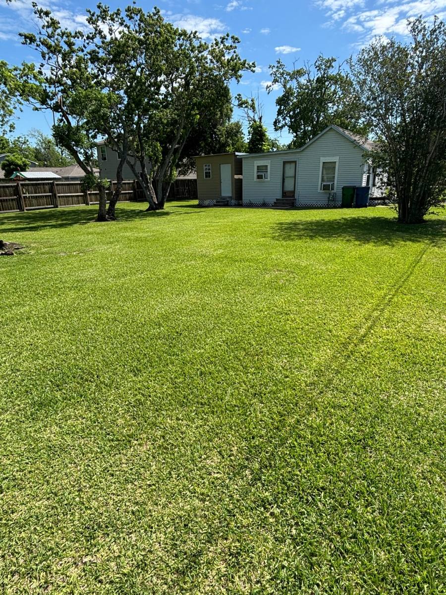 House for rent at 608 W Cedar, Angleton, TX 77515