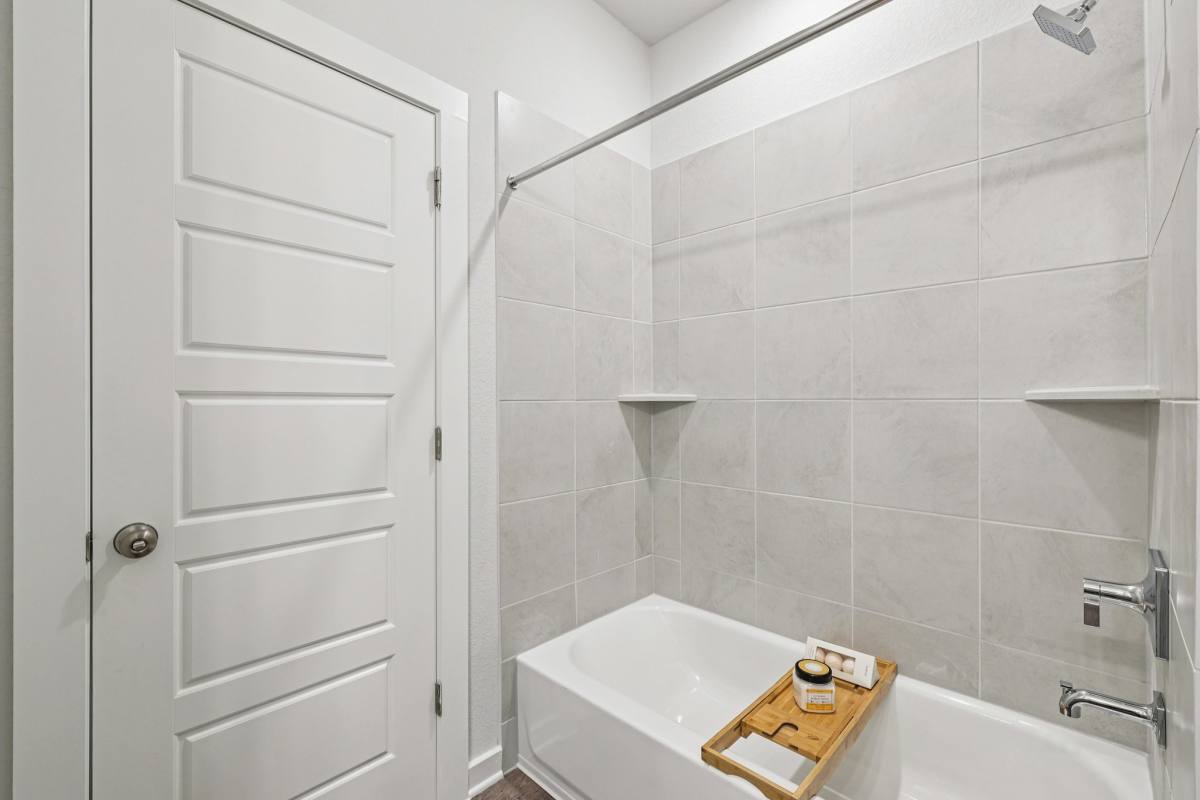 House for rent at 133 Cutleaf Cove, San Marcos, TX 78666