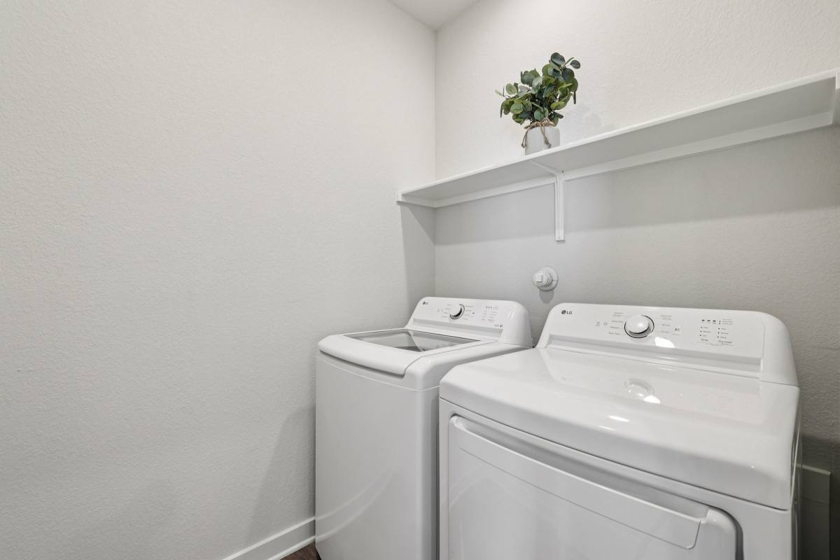 House for rent at 133 Cutleaf Cove, San Marcos, TX 78666