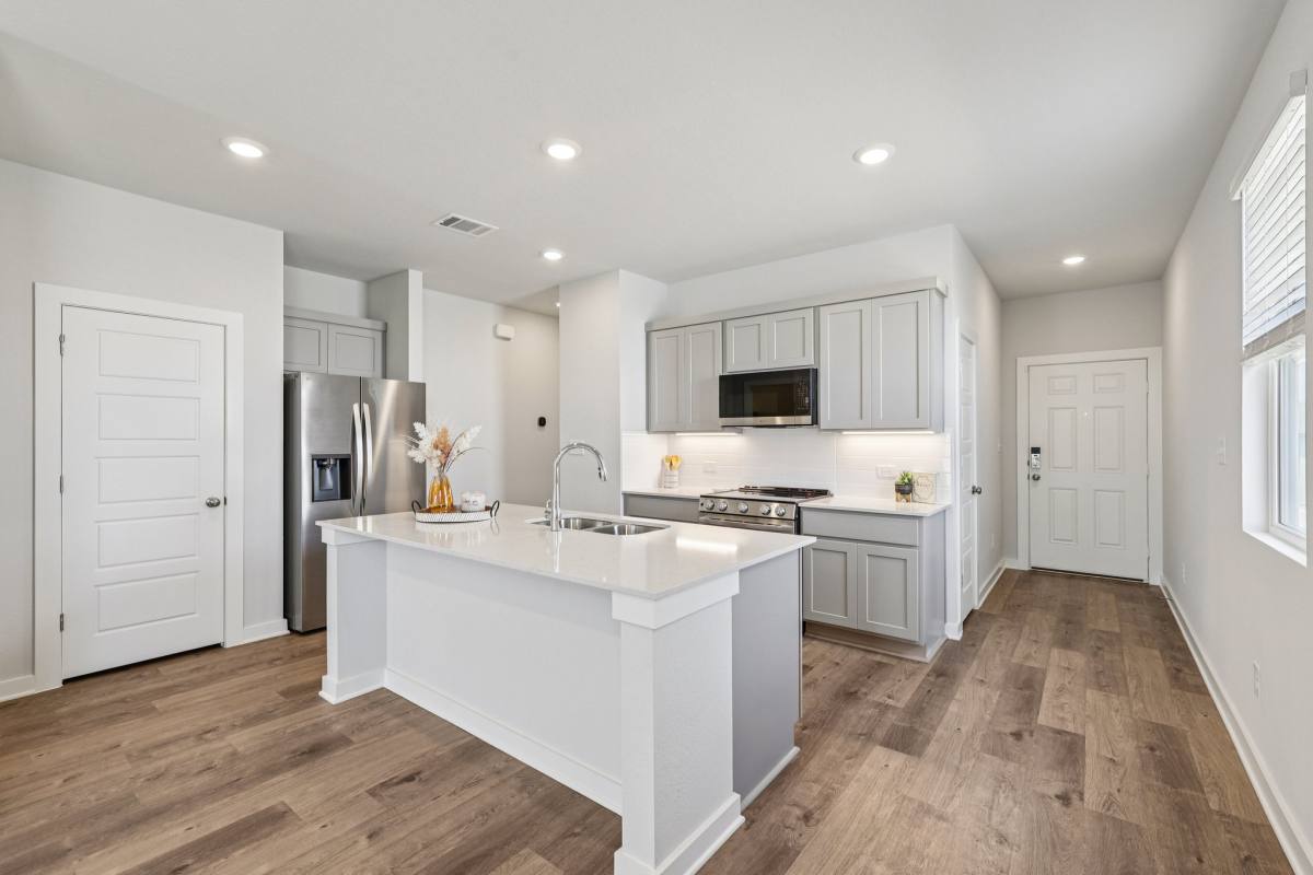 House for rent at 125 Cutleaf Cove, San Marcos, TX 78666