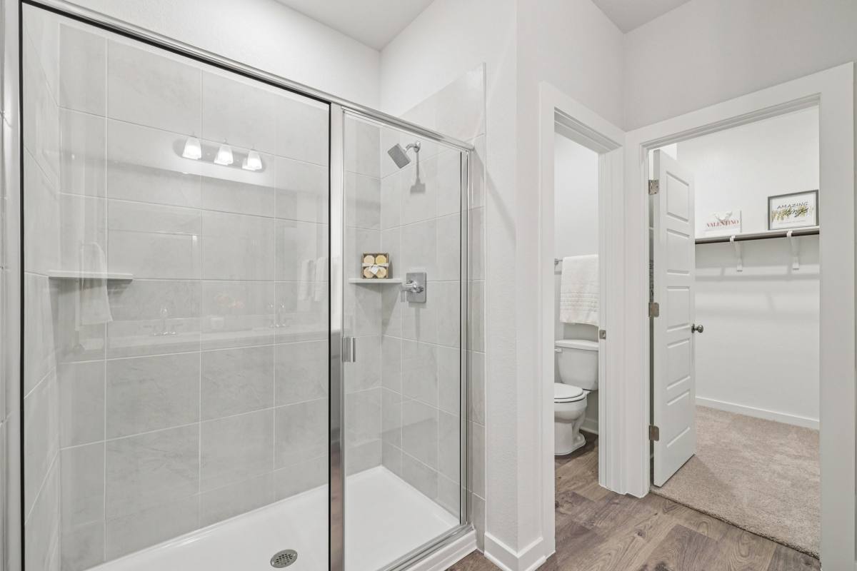 House for rent at 125 Cutleaf Cove, San Marcos, TX 78666
