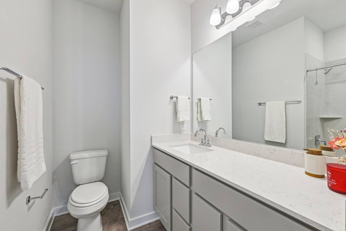 House for rent at 125 Cutleaf Cove, San Marcos, TX 78666