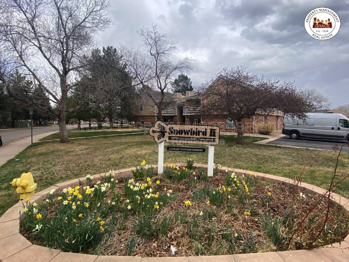 Apartment for rent at 3318 S Ammons St #203, Denver, CO 80227