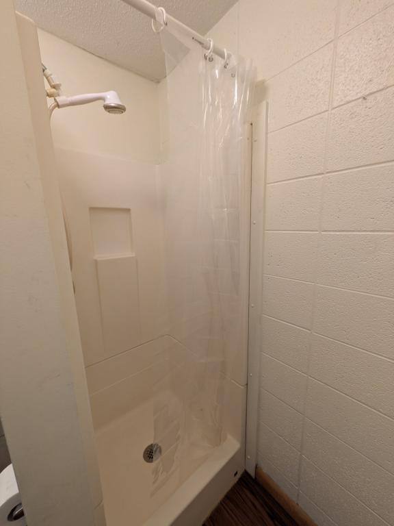 Apartment for rent at 6300 E Broadway Rd #2, Mount Pleasant, MI 48858