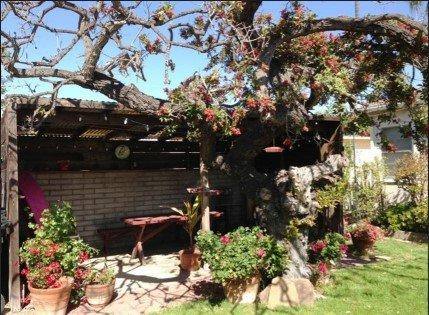 Apartment for rent at 4470-4474 34th St, San Diego, CA 92116