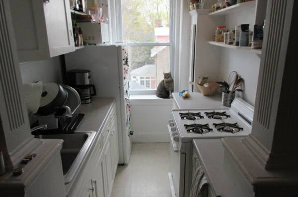 Apartment for rent at 11 Gray St #U1, Cambridge, MA 02138