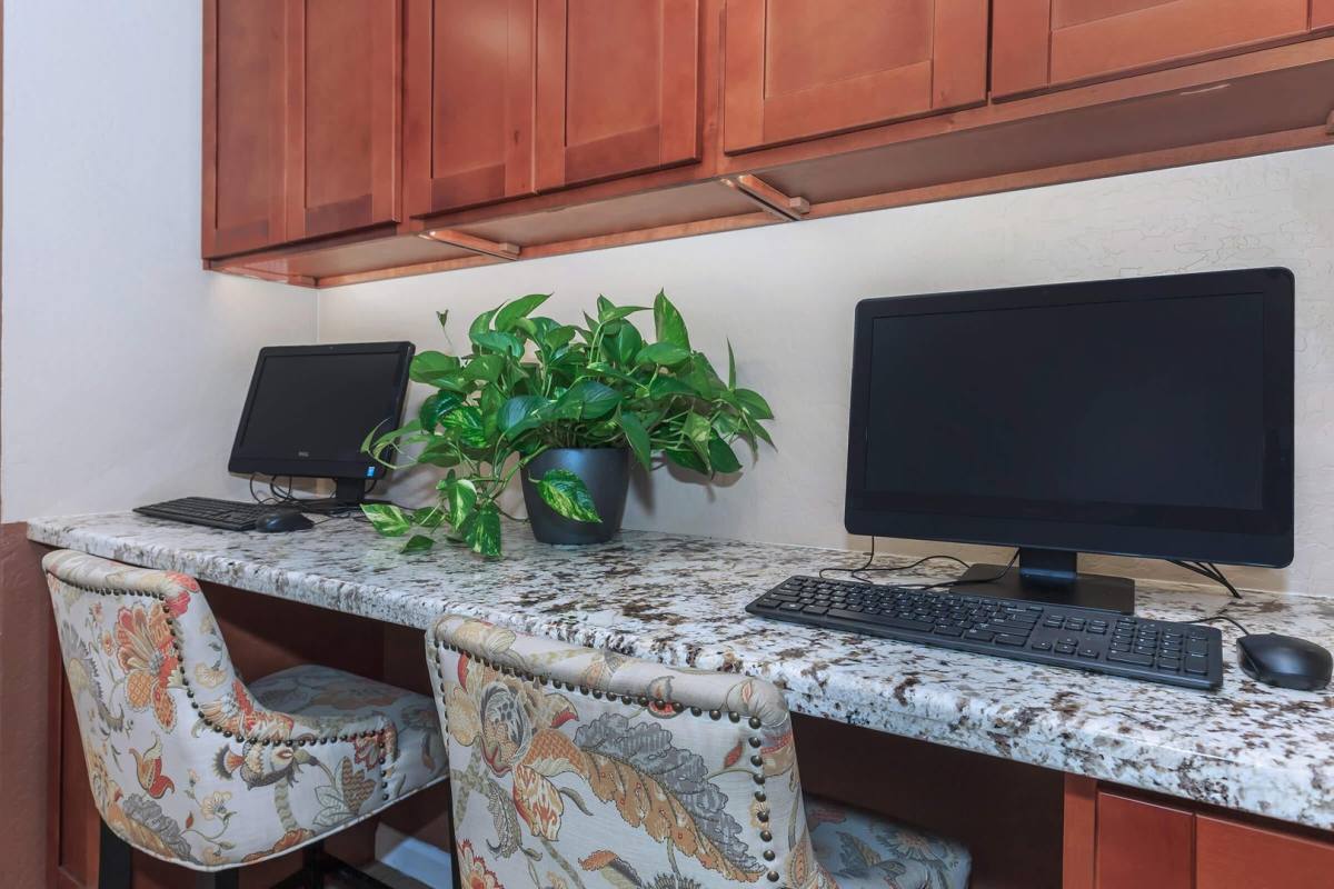 Apartment for rent at 12231 N 19th St, Phoenix, AZ 85022