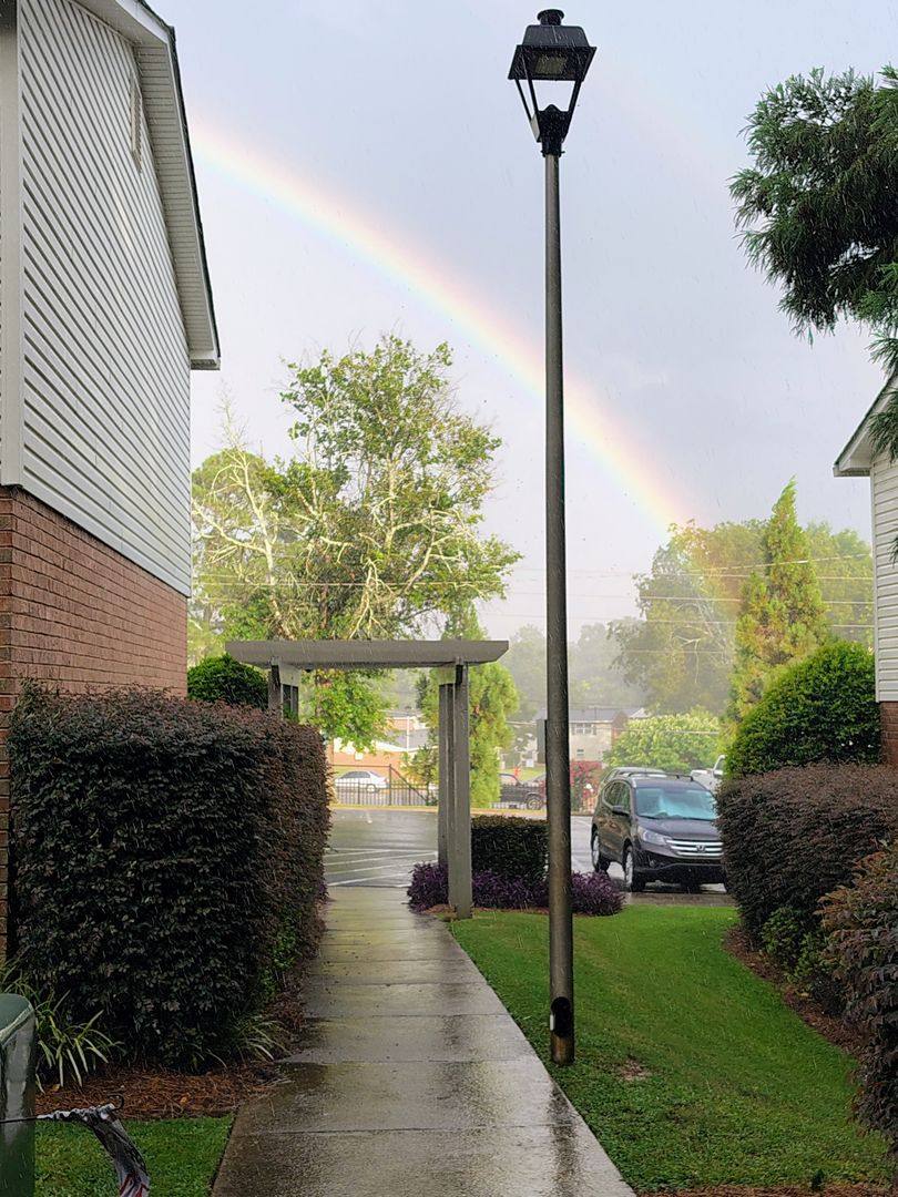 Apartment for rent at 537 Fourth St, Athens, GA 30601