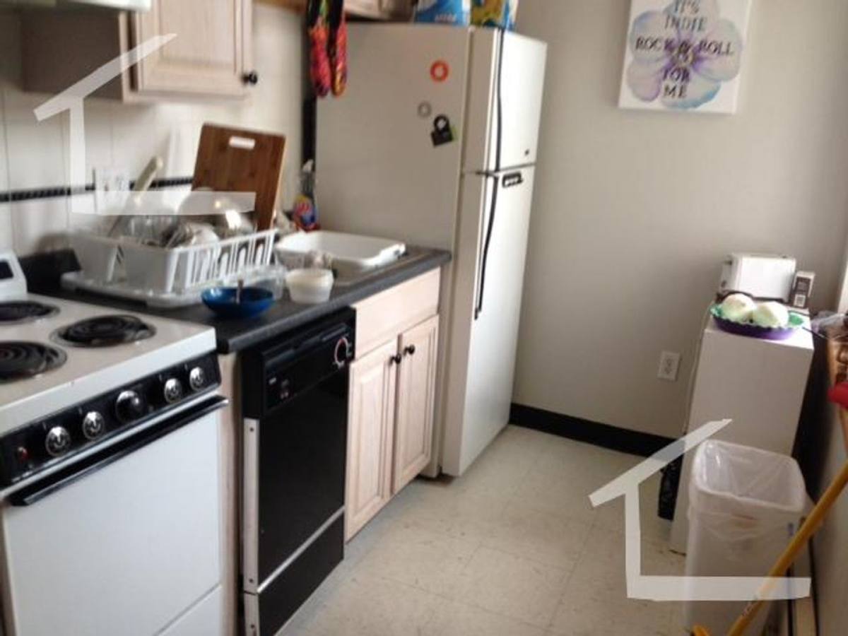 House for rent at 206 Cehstnut Hill, Brighton, MA 02135