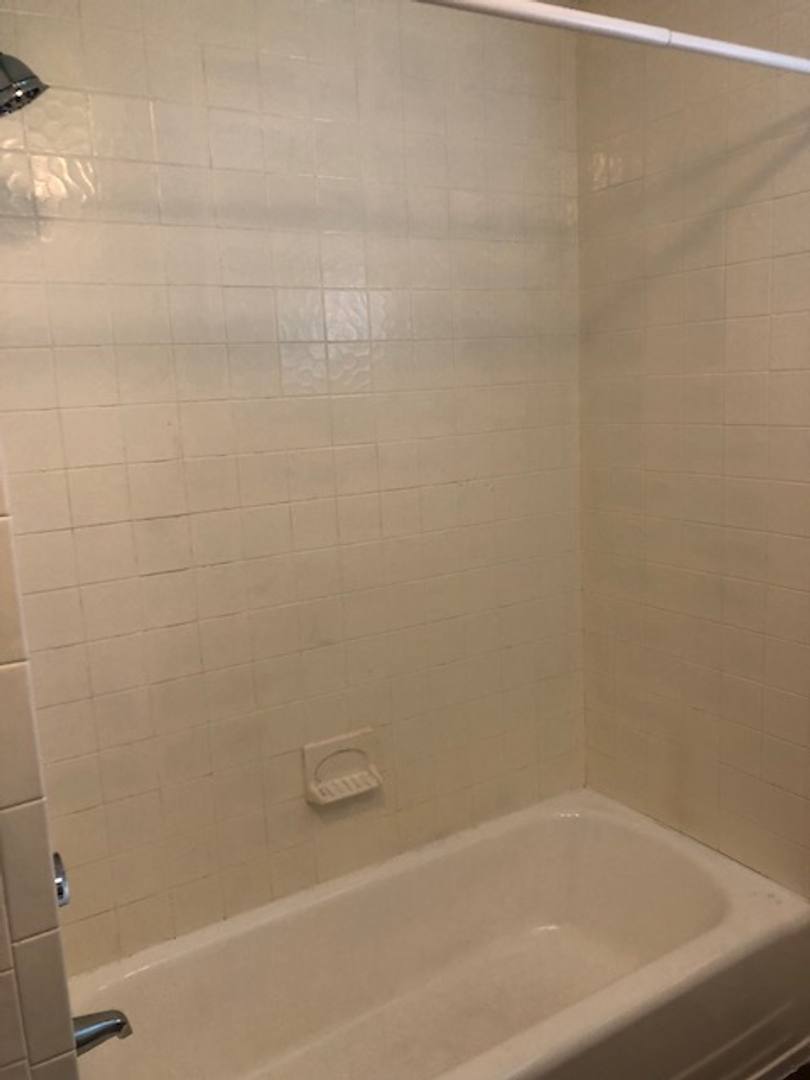 Apartment for rent at 550 Whitney Ave #5, New Haven, CT 06511