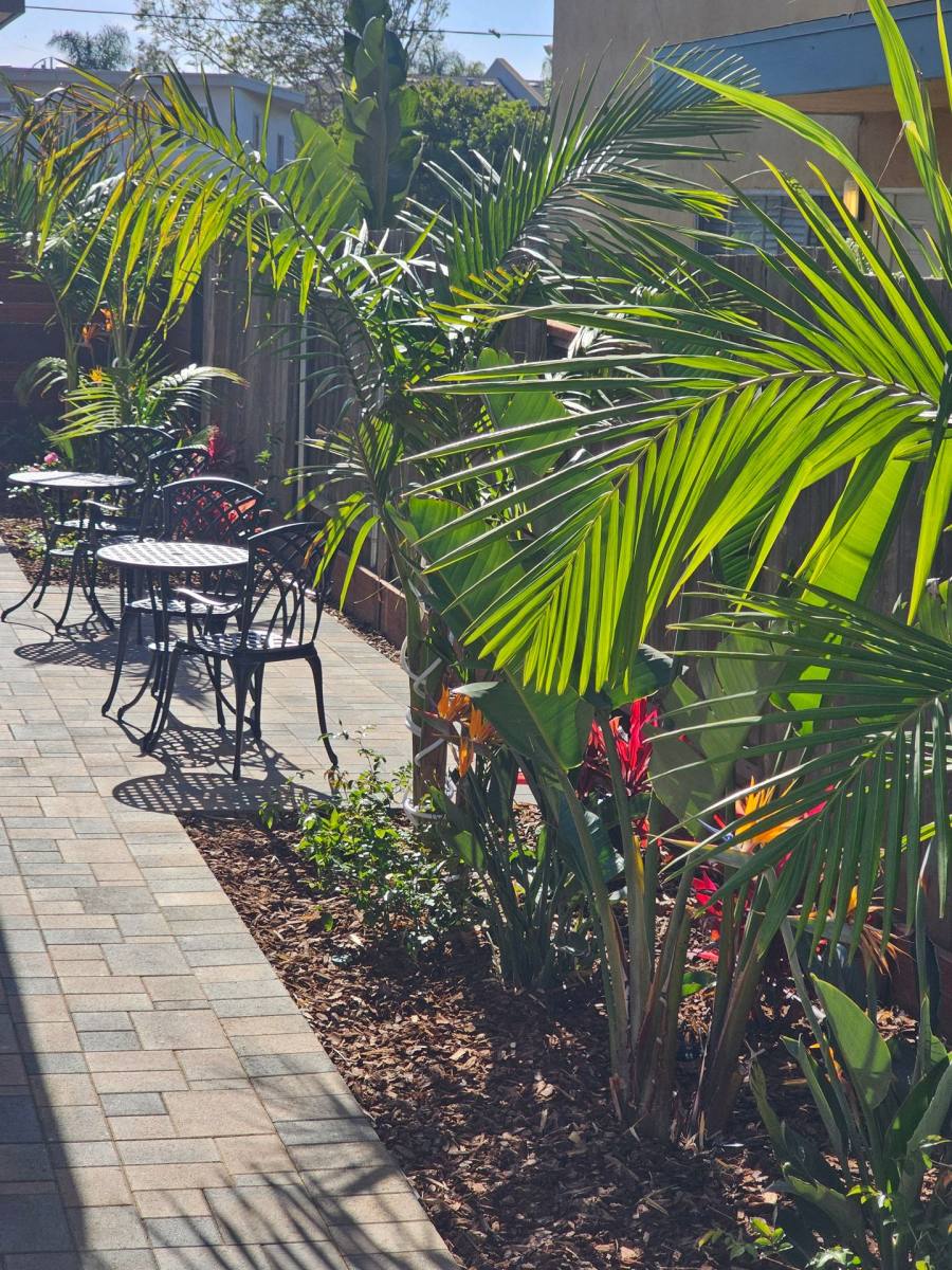 Condo for rent at 1403 Hermes Ave, Encinitas, CA 92024