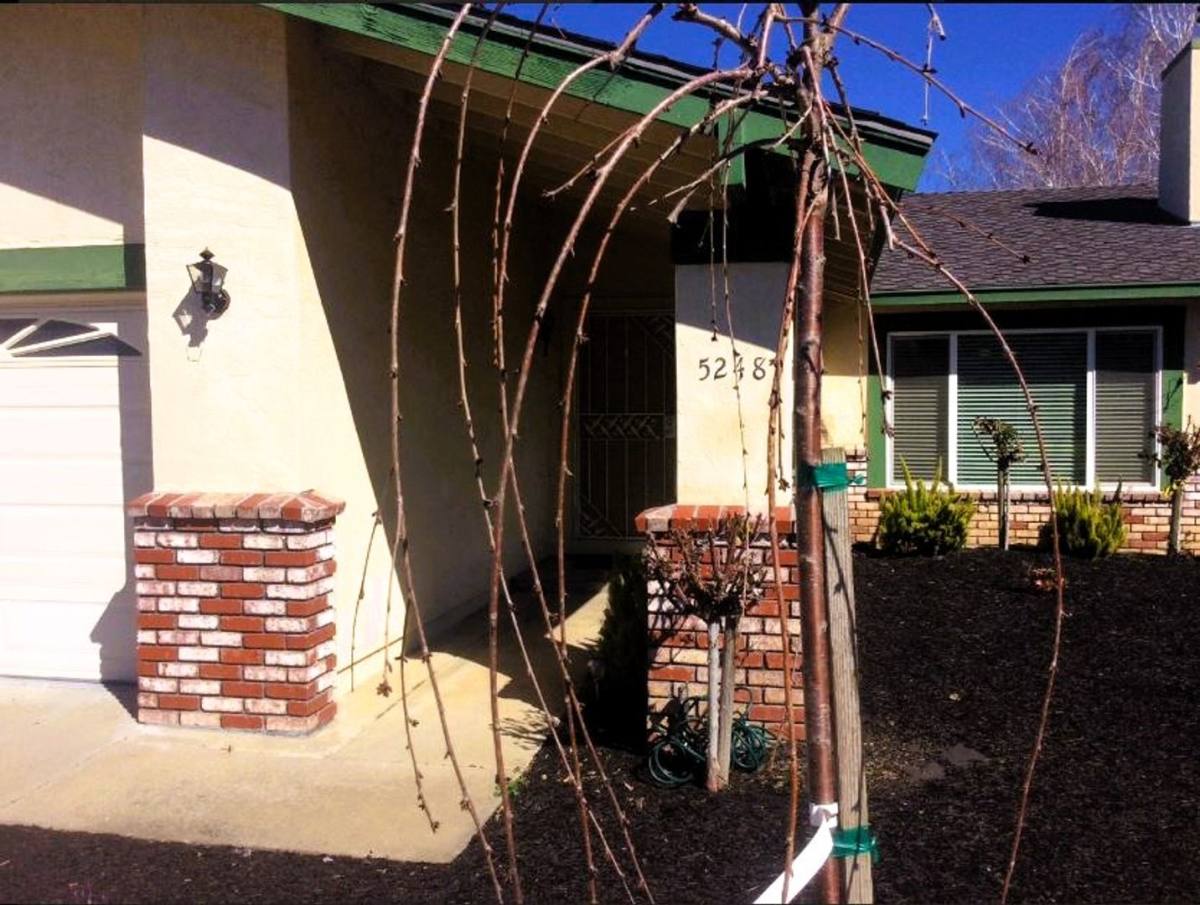 House for rent at 5248 Felicia Ave, Livermore, CA 94550