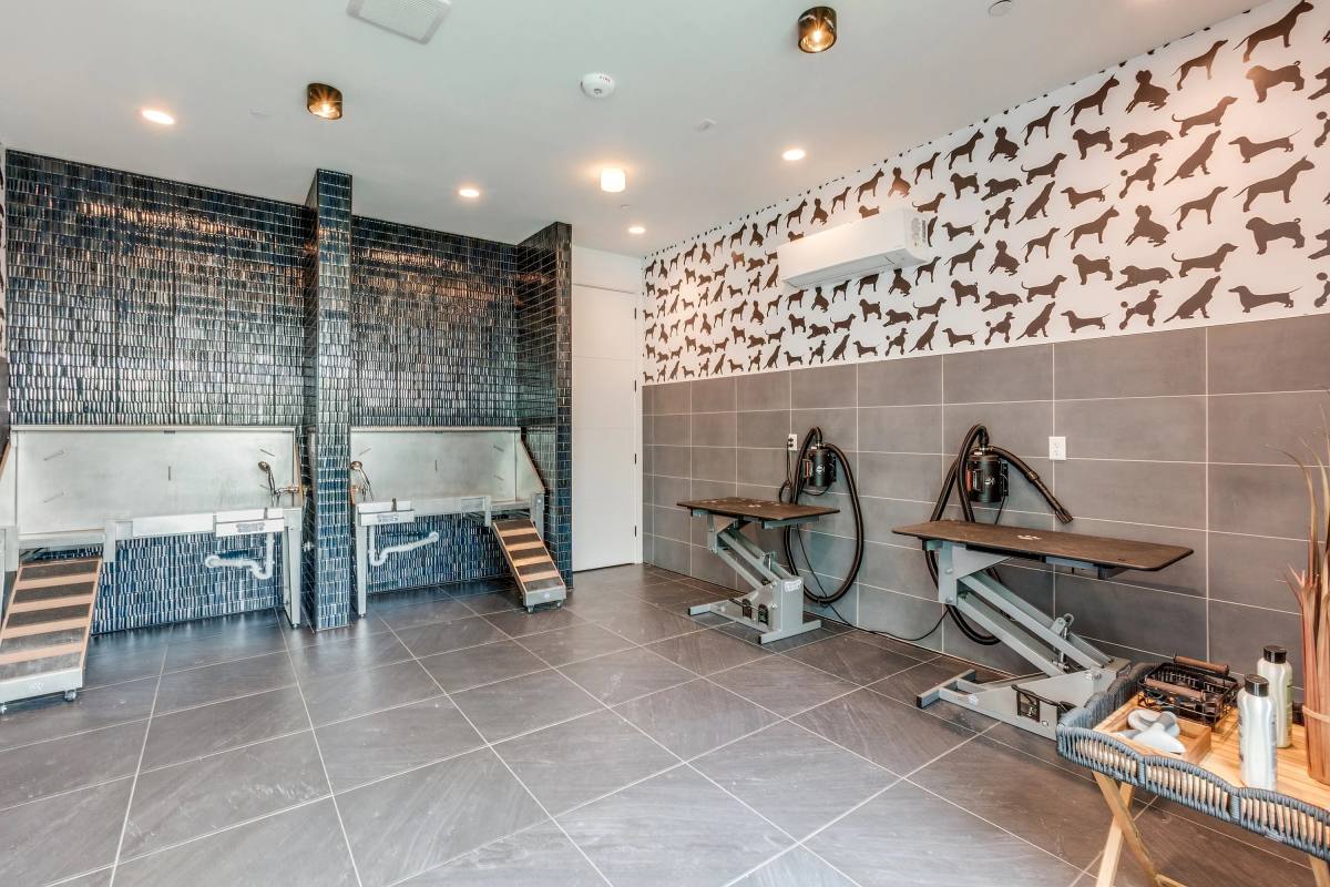 Apartment for rent at 1011 Springdale Rd #S6-78, Austin, TX 78721