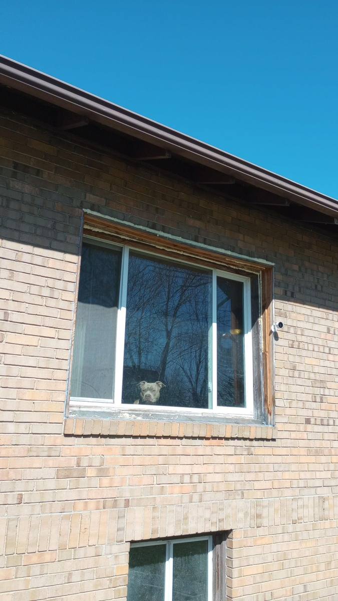 House for rent at 136 Griffin, Danville, IL 61832