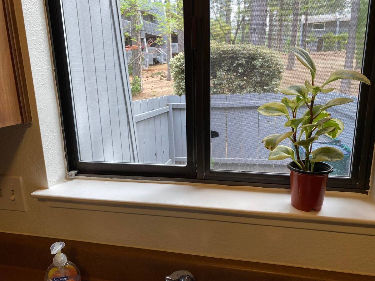 House for rent at 15487 Kingsbury Circle, Grass Valley, CA 95949