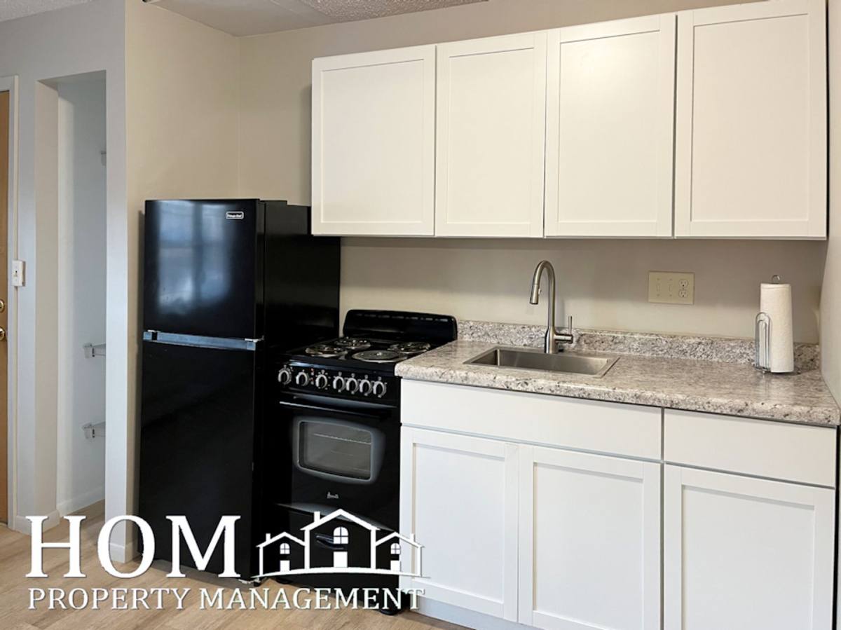 Apartment for rent at 107 E Liberty St, Mankato, MN 56001