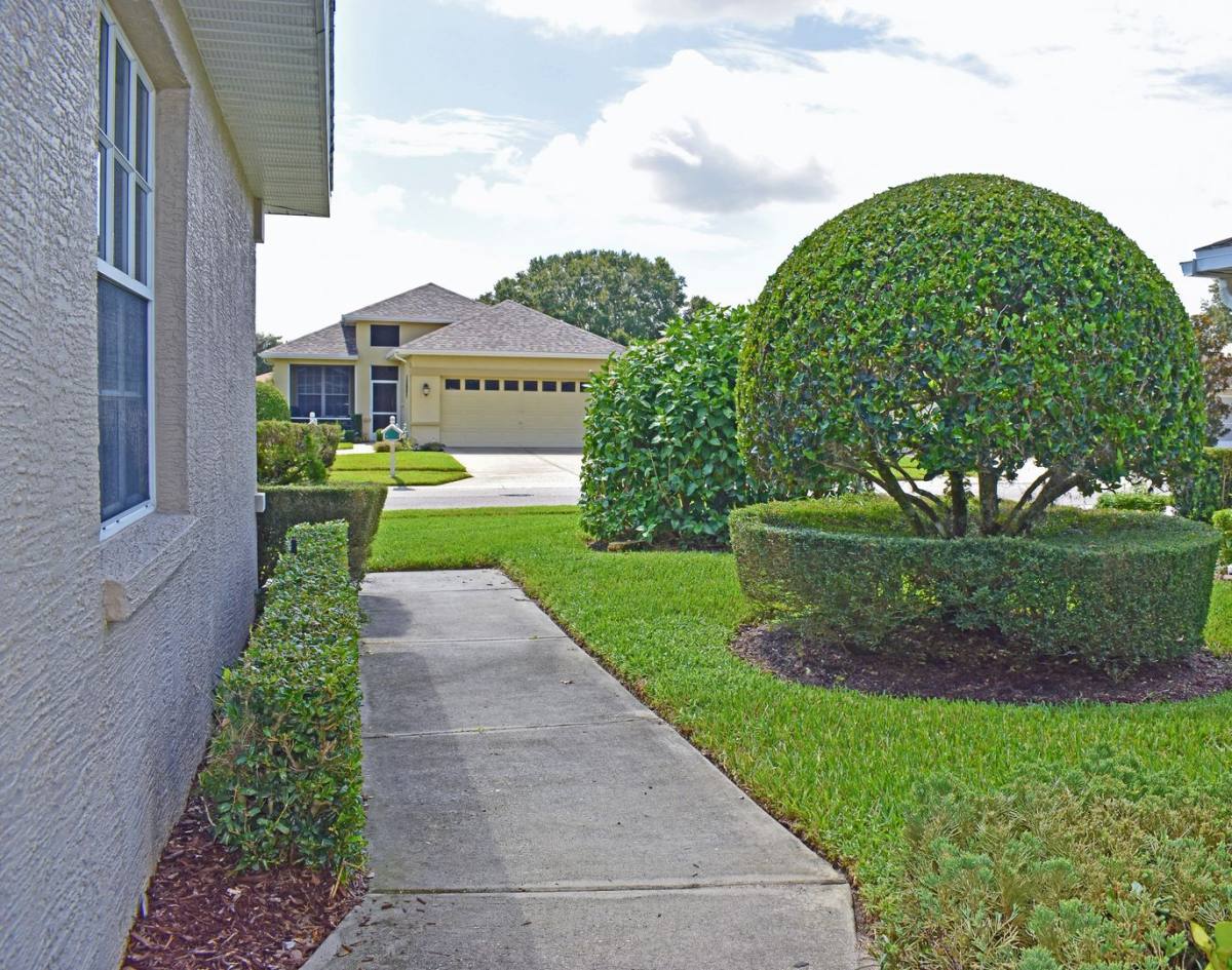 House for rent at 14499 Tamarind Loop, Spring Hill, FL 34609