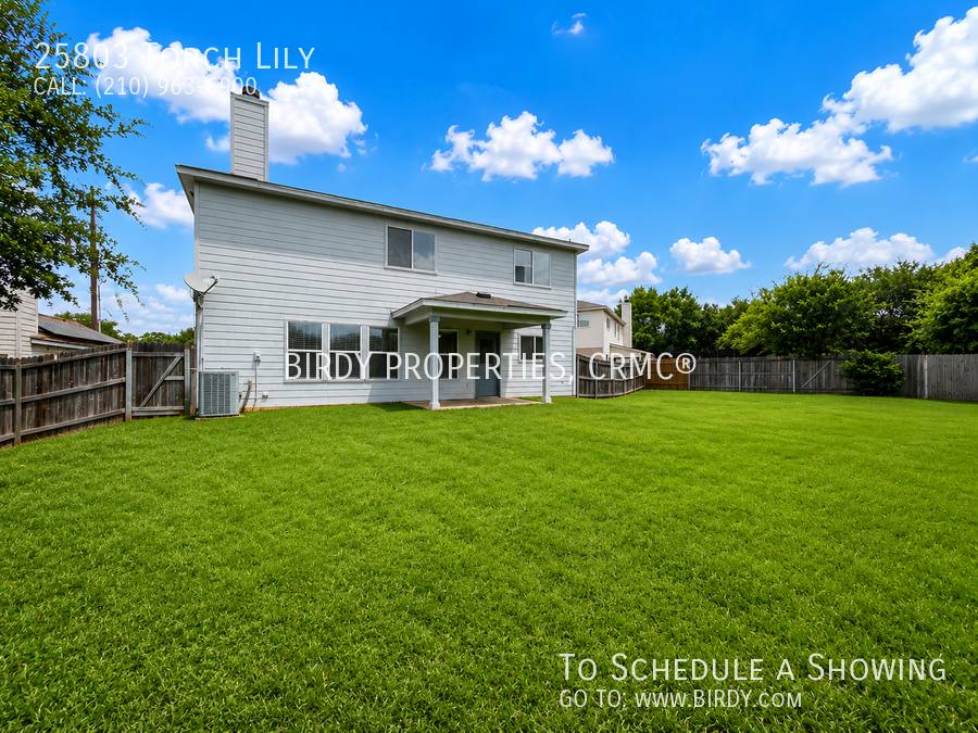 House for rent at 25803 Torch Lily, San Antonio, TX 78260