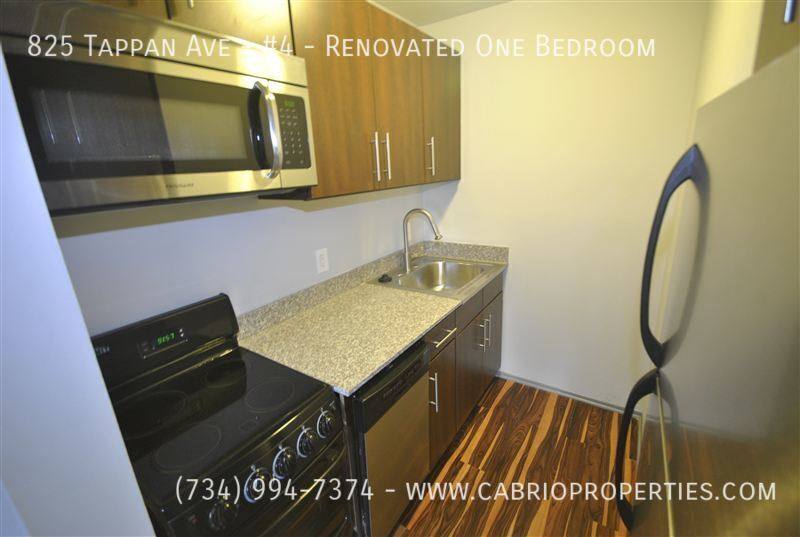 Apartment for rent at 825 Tappan Ave #4-RENOVATED One, Ann Arbor, MI 48104
