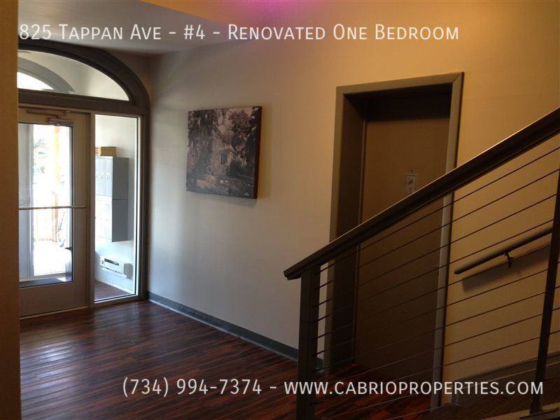 Apartment for rent at 825 Tappan Ave #4-RENOVATED One, Ann Arbor, MI 48104