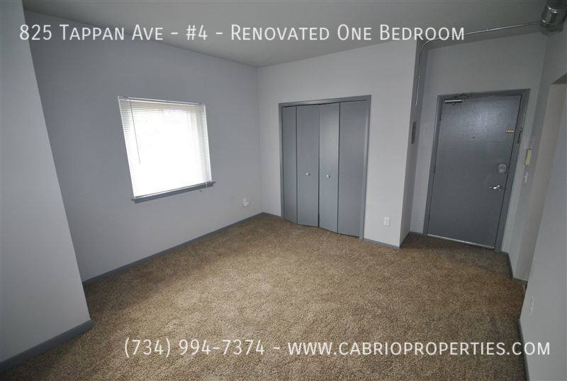 Apartment for rent at 825 Tappan Ave #4-RENOVATED One, Ann Arbor, MI 48104