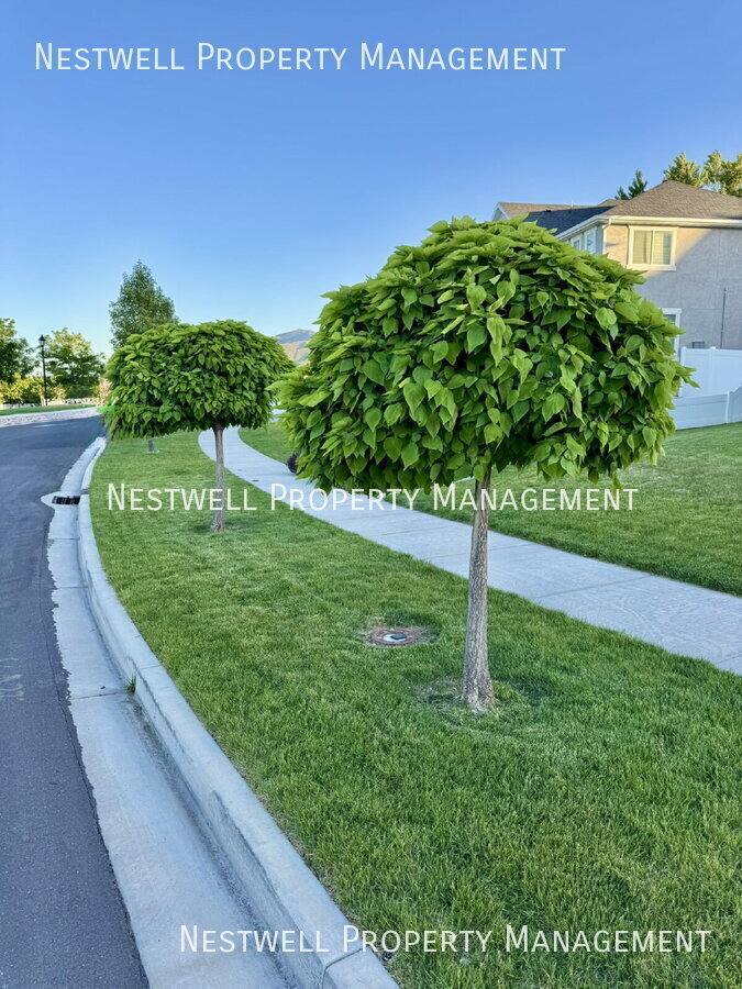House for rent at 627 N Pinnacle Lane, Saratoga Springs, UT 84045