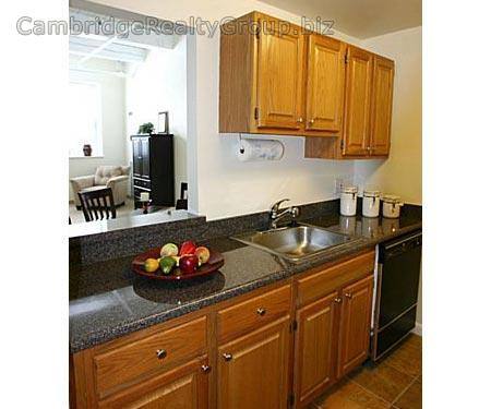 Apartment for rent at 129 Franklin St, Cambridge, MA 02139
