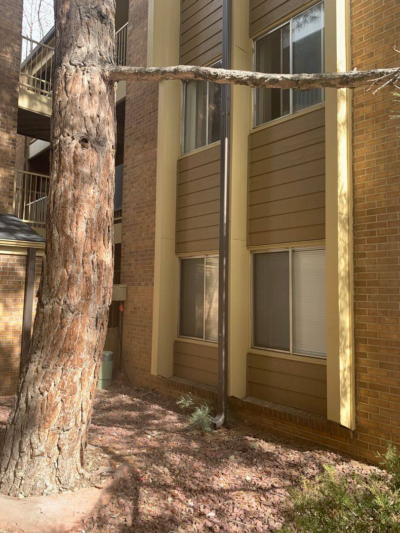 House for rent at 3303 Madison Ave #T107, Boulder, CO 80303