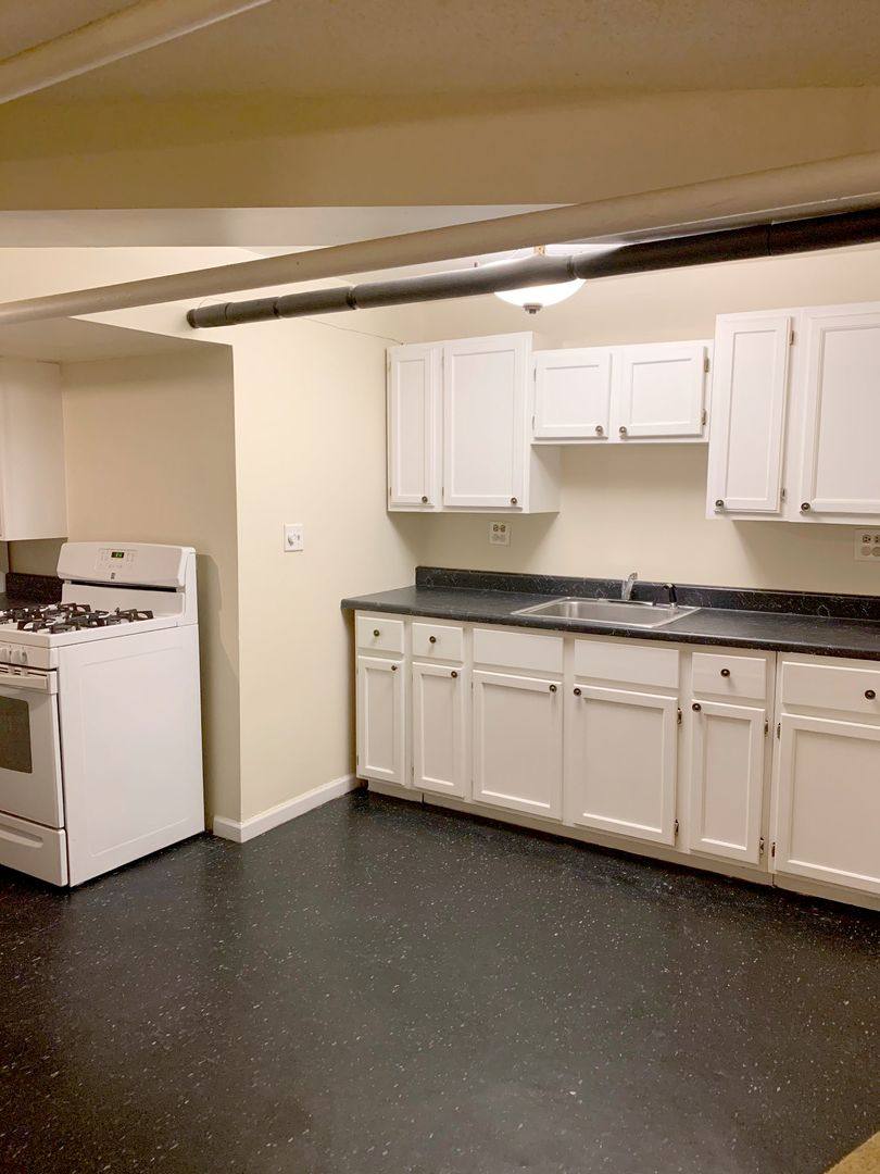 Apartment for rent at 1347 W Carmen - Garden Studio E, Chicago, IL 60625
