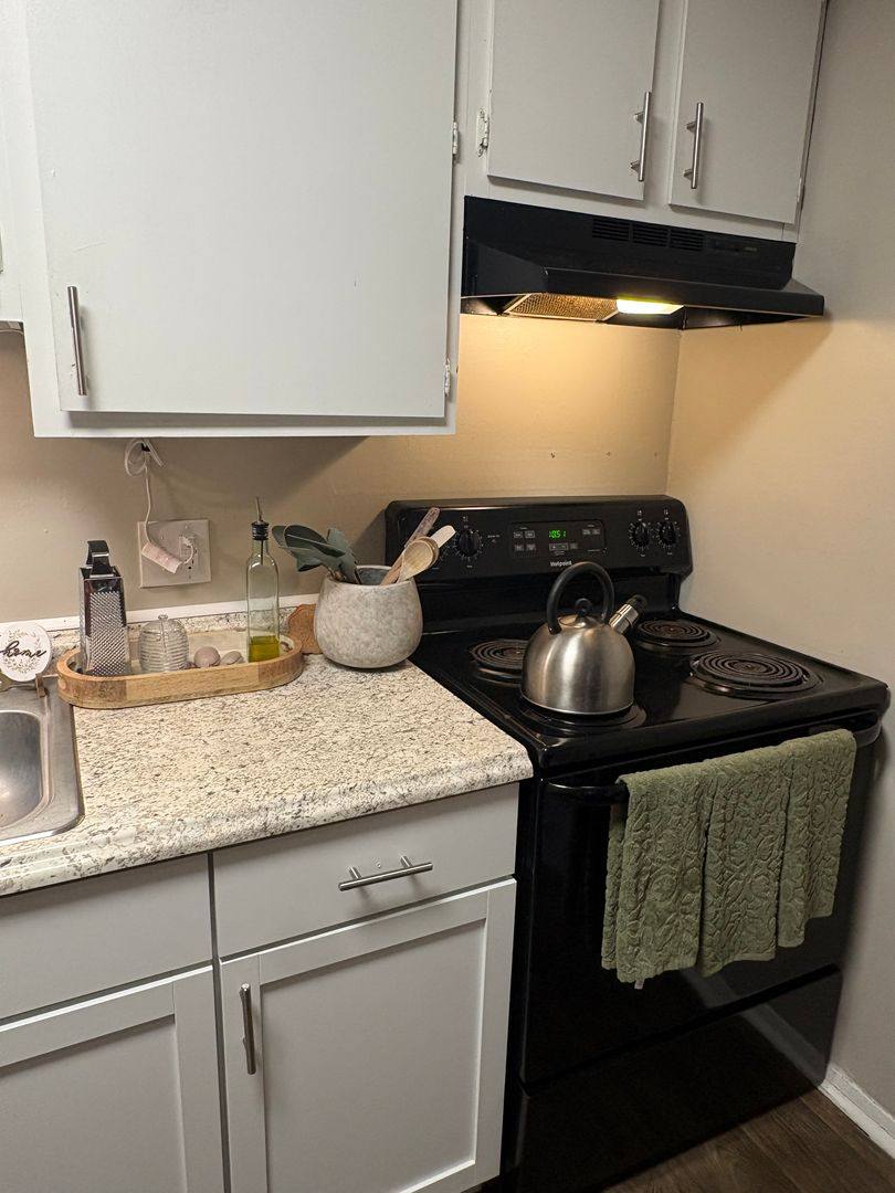 Apartment for rent at 210 Lanier Dr, Statesboro, GA 30458