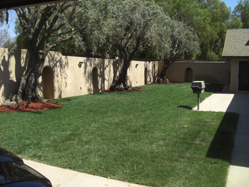 House for rent at 16180 Washington St, Riverside, CA 92504